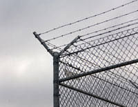 PrisonFence.jpg