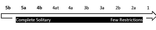 Solitary-ArrowGraphic.jpg