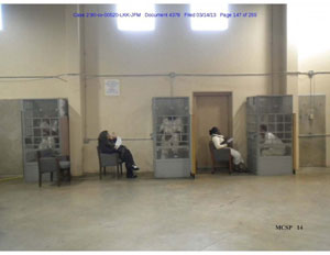 Individual Program Cages With Instructors
