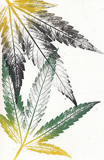 Marijuana-leaves_200.jpg