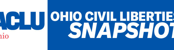 SnapshotLogo-Generic_676-175.jpg