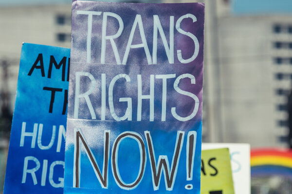 Trans Rights Now Sign
