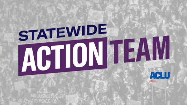 Statewide Action Team logo over gray and white image of a protest