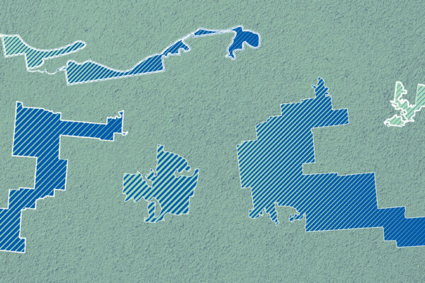Various gerrymandered U.S. Congressional districts with a green and blue color overlay and a white border on a green and navy textured background