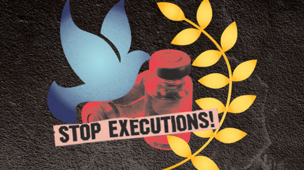 Collage of a blue dove, yellow leaves, red viles and a pink banner that reads 'stop executions' on a dark gray cement textured background