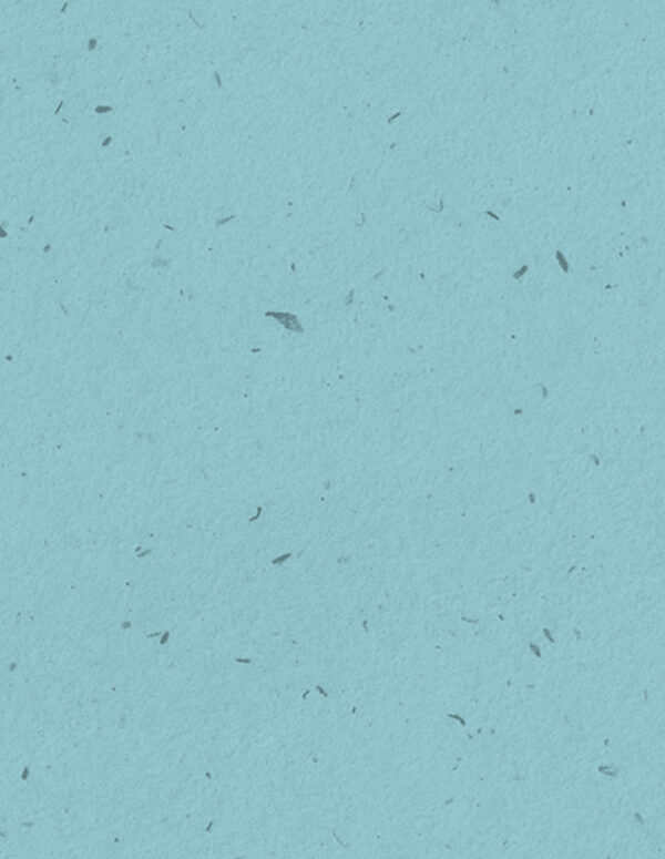 Blue background with image of ballot fill-in bubbles