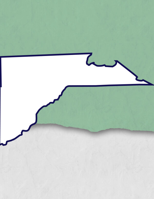 outline of lucas county with light blue background