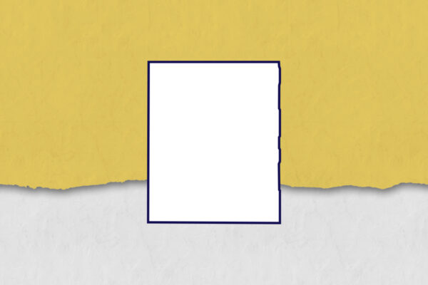 outline of portage county with light yellow background