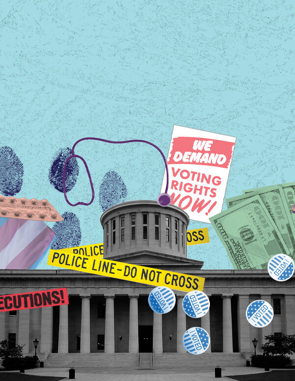 statehouse with various issue posters
