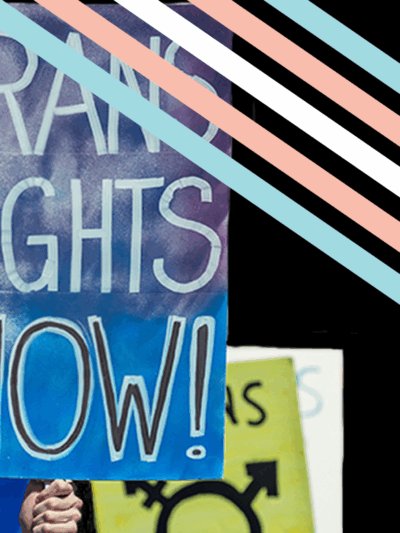 Trans Rights Now