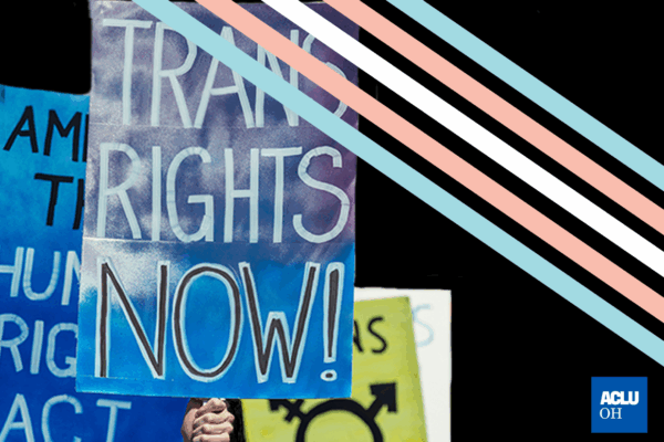 Trans Rights Now