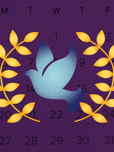 blue dove over a purple background