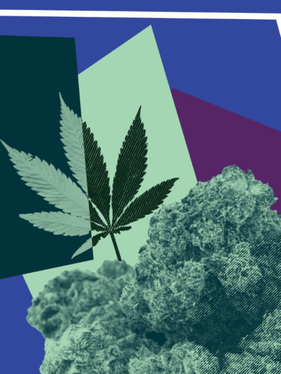 marijuana with purple background