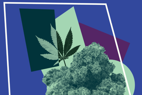 marijuana with purple background