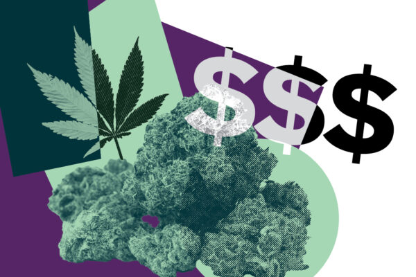 Marijuana leaves and dollar signs