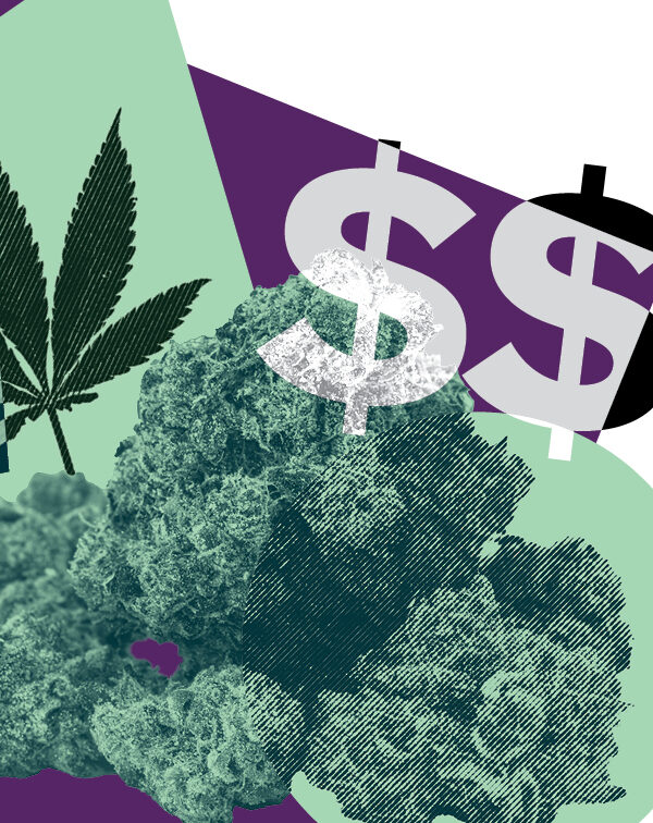 Marijuana leaves and dollar signs