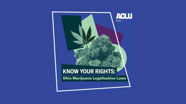 Know Your Rights: Photo of Cannabis leaf and buds in greens and purples