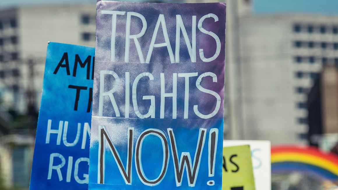 Trans Rights Now Sign