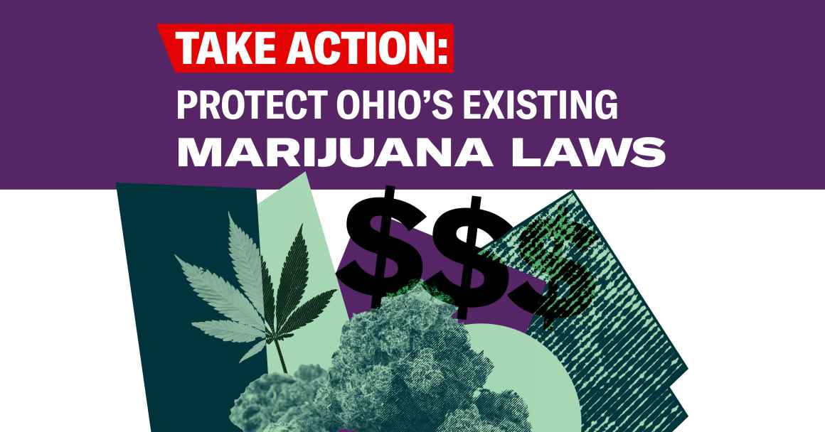 Image of Marijuana buds and leave with the text Take Action: Protect Ohio's Existing Marijuana Laws