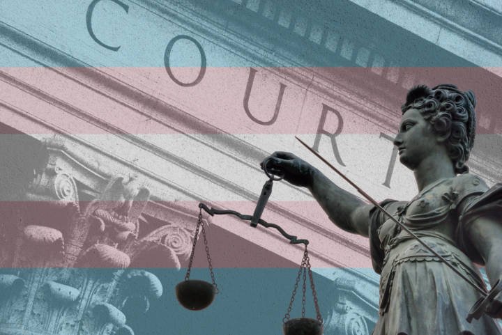 Courthouse with Trans Flag