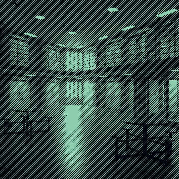 Grainy Green and Black Photo of prison interior
