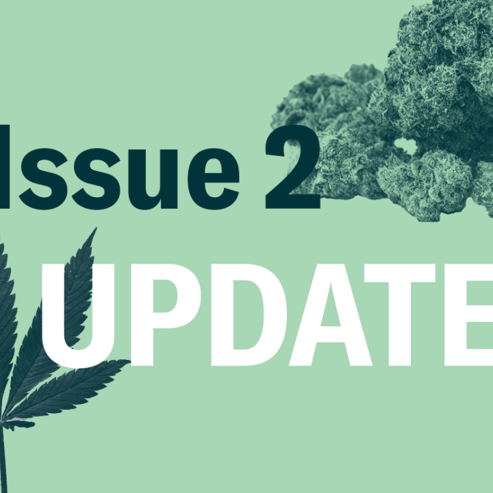 Issue 2 Update