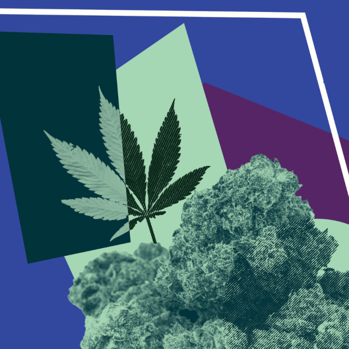 marijuana with purple background