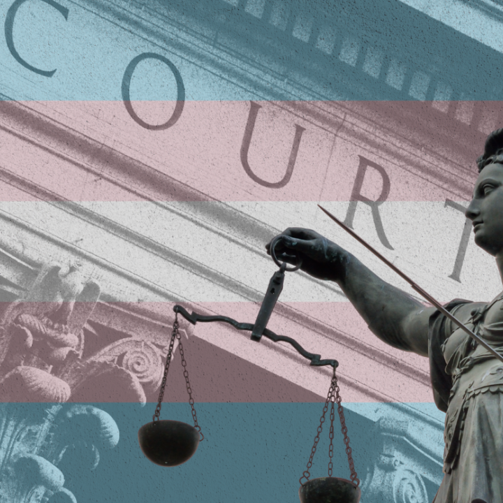 Courthouse with Trans Flag