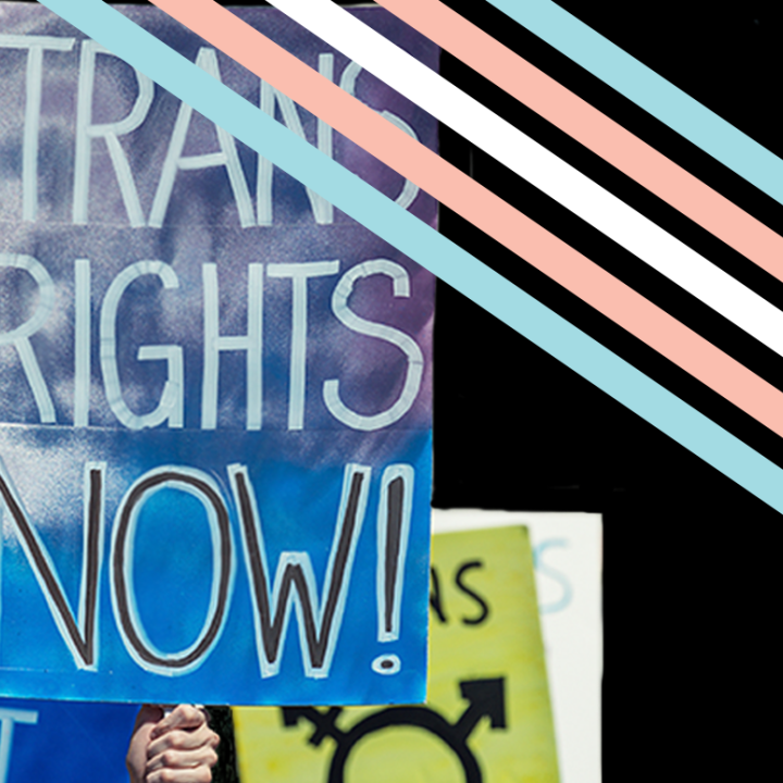 Trans Rights Now