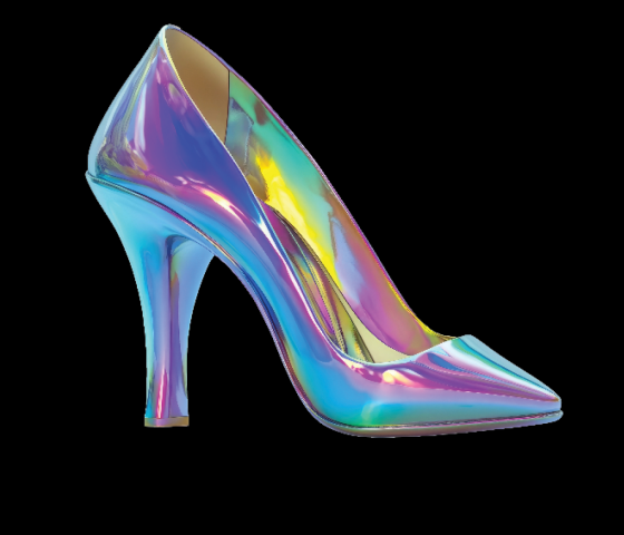 Stop HB 249 with Rainbow Shoe